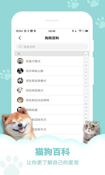 萌宠语言翻译器app